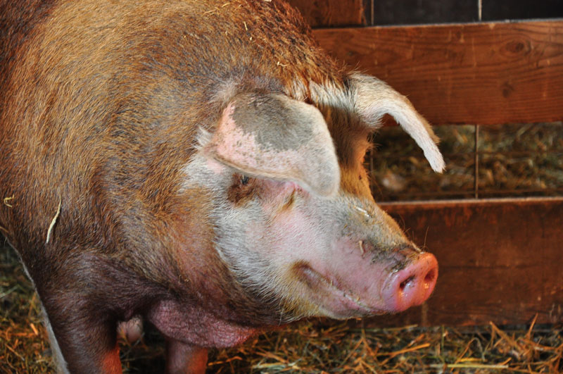 friday-faucet-day-003