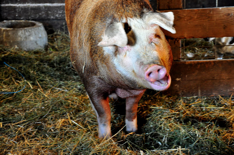 friday-faucet-day-005