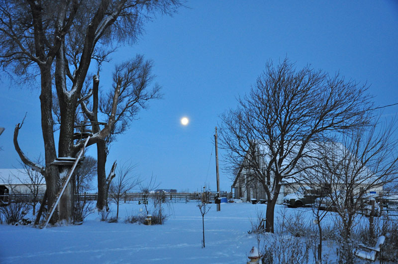 moon-on-snow-006