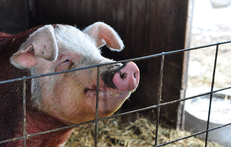 import-then-delete-3349