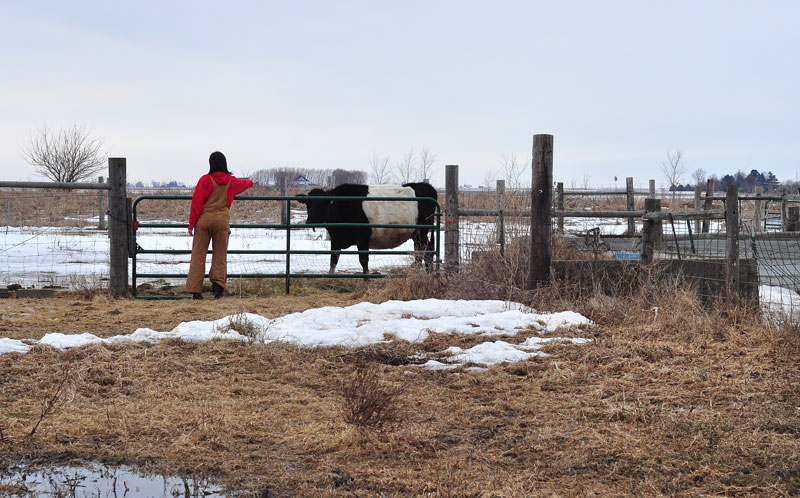 import-then-delete-3365