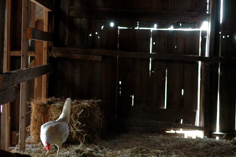 I had a thought&nbsp;–