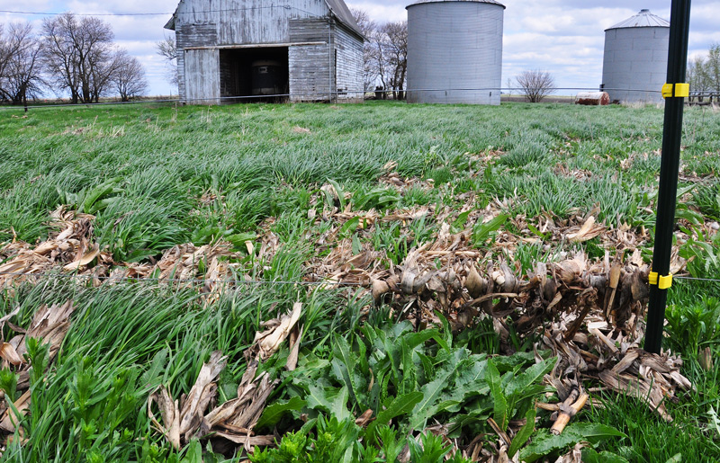 Butter made from&nbsp;clover