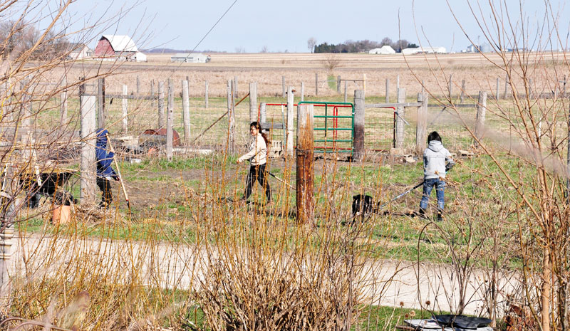 girls in field