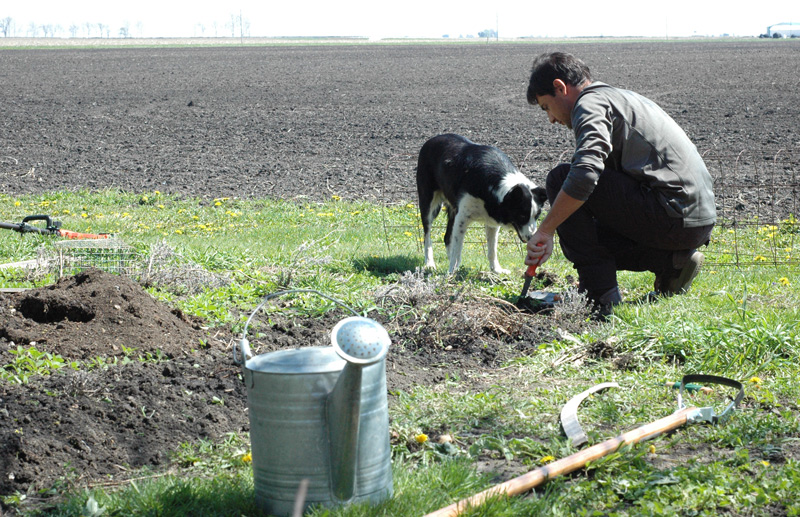 man gardening