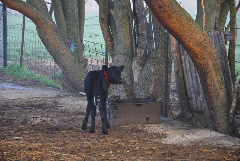 … on a&nbsp;Friday