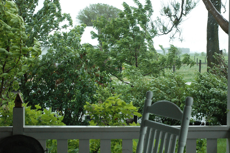 Do what you can&nbsp;–