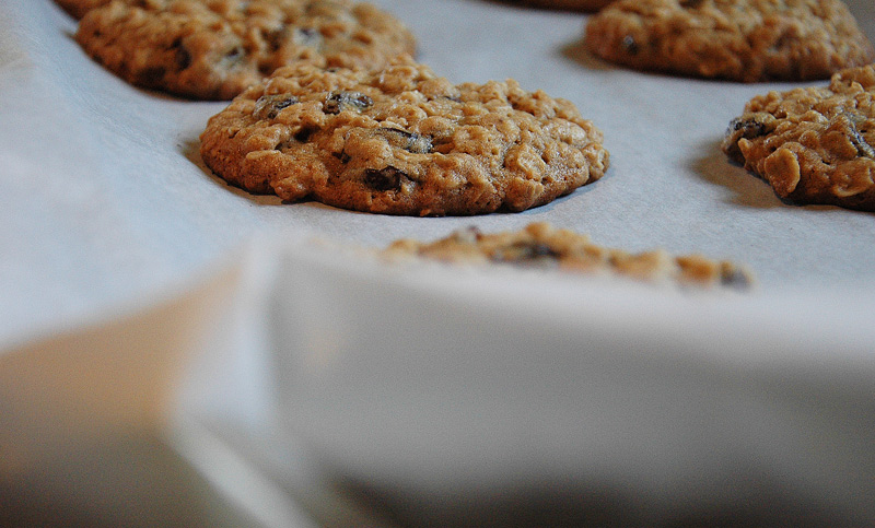 oatmeal cookies