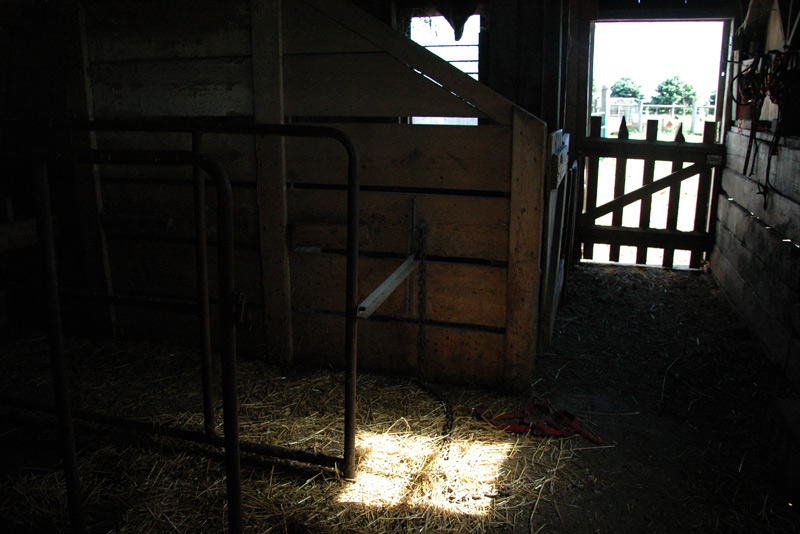 milking shed