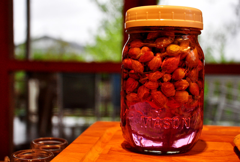 chive blossom vinegar