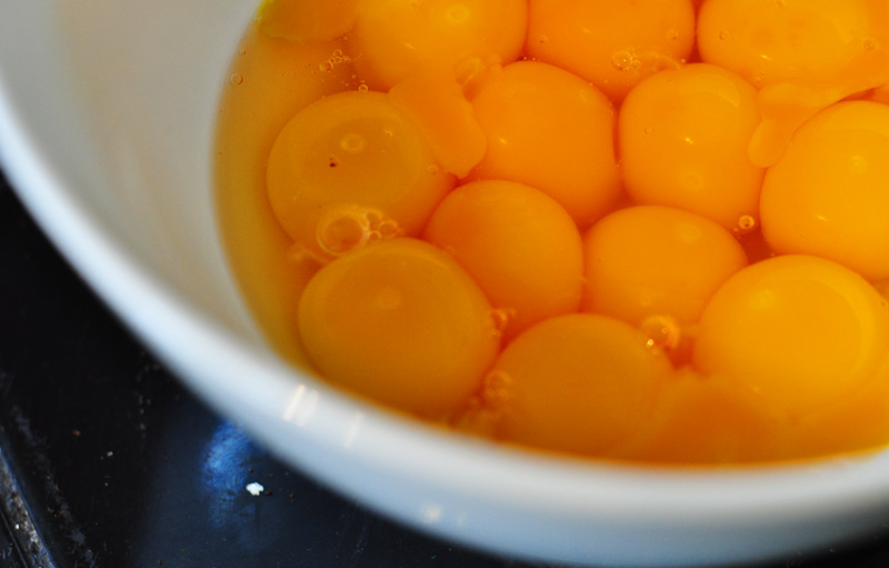 egg yolks