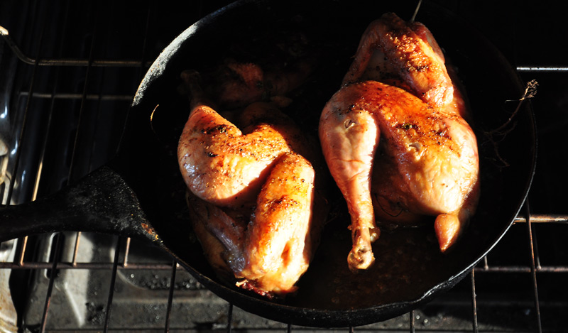 roast chicken