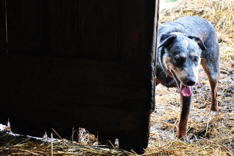 Everything in its&nbsp;place