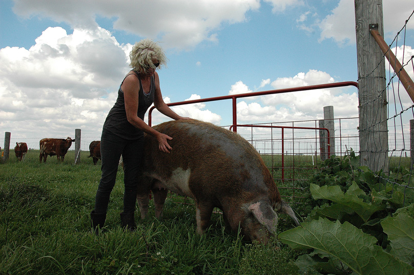 pig and woman
