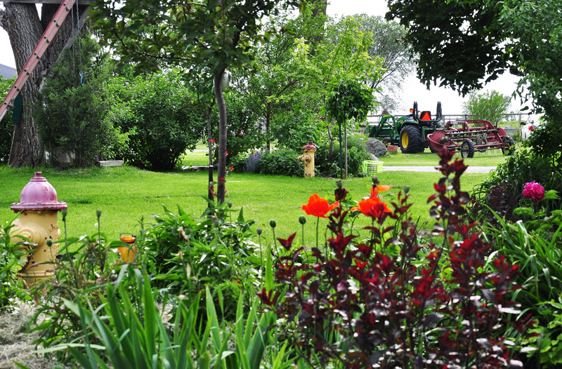 Hay In The&nbsp;Barn