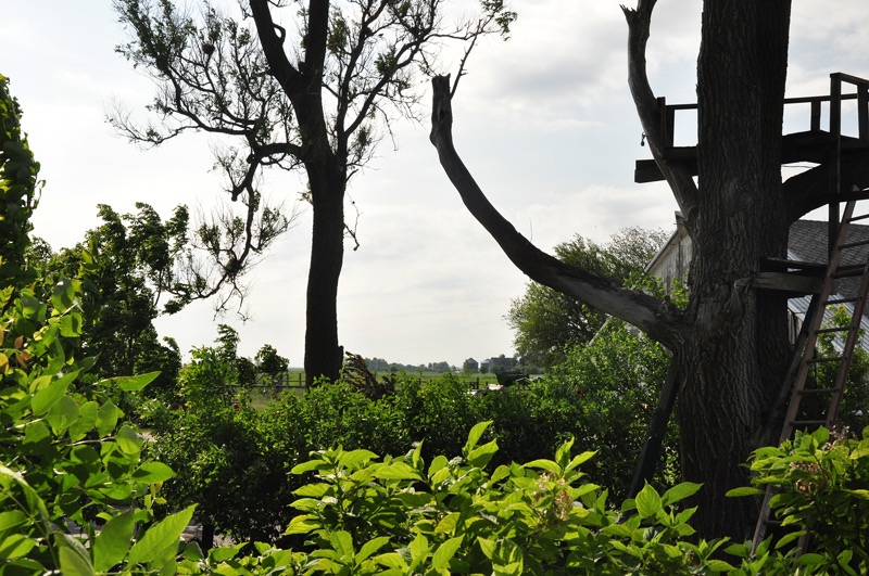 from-the-verandah-006