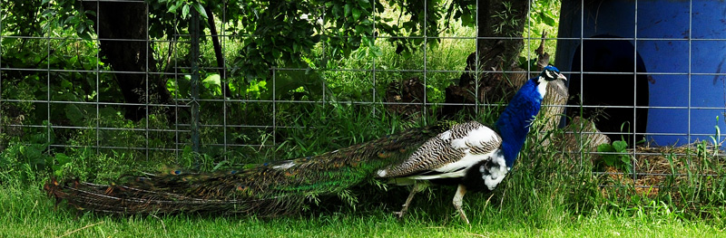 No-one Told Me&nbsp;–