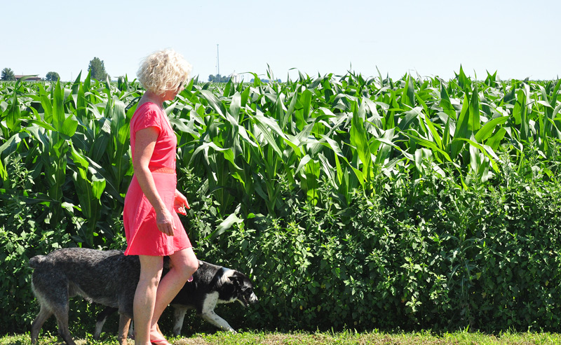 girl in a pink dress
