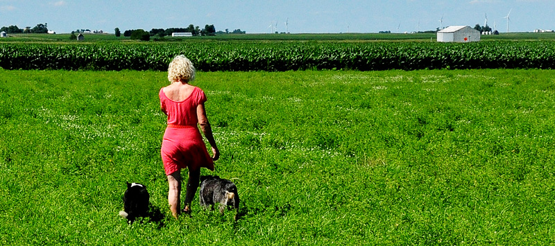 A Good Kick in the&nbsp;Face