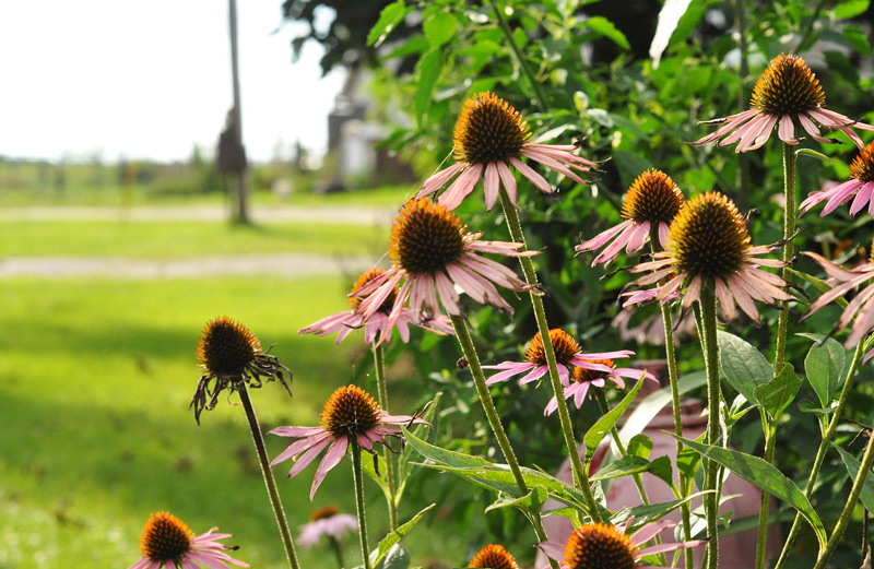 Once more into the&nbsp;breach