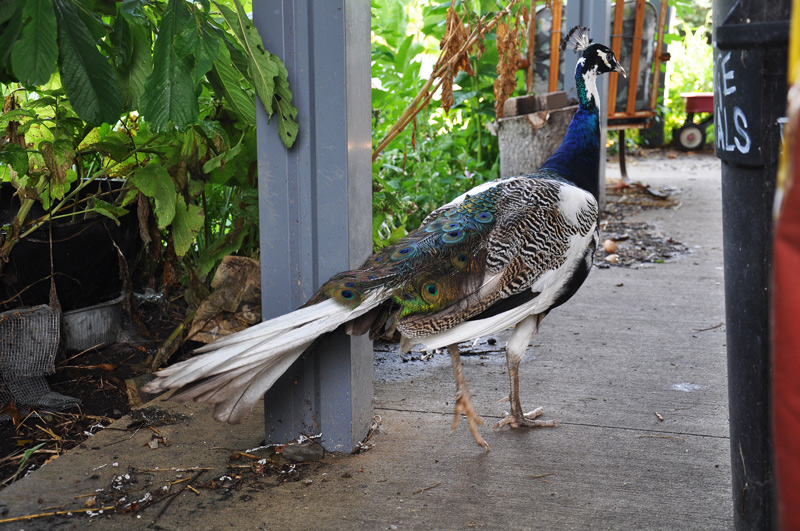 Living and Breathing