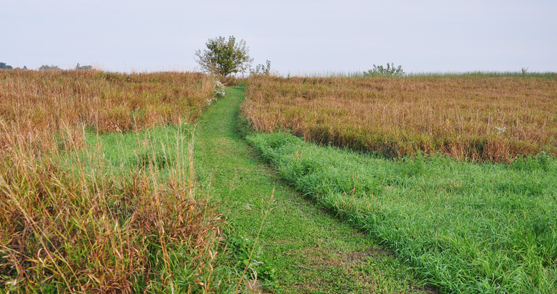 prairie path