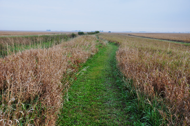 prairie path