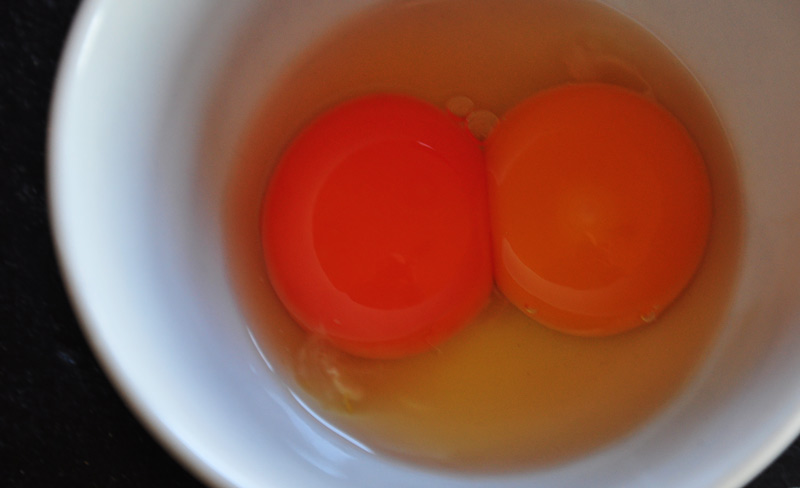 egg yolks