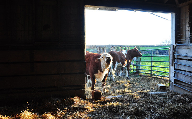 When you feel Sad –&nbsp;WORK