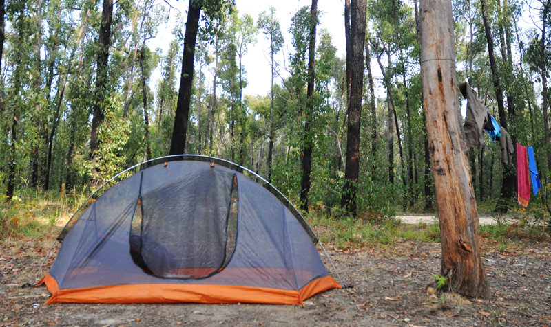 australian bush camp travel