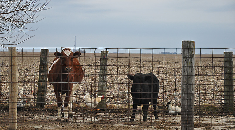 Aunty Del and Carlos