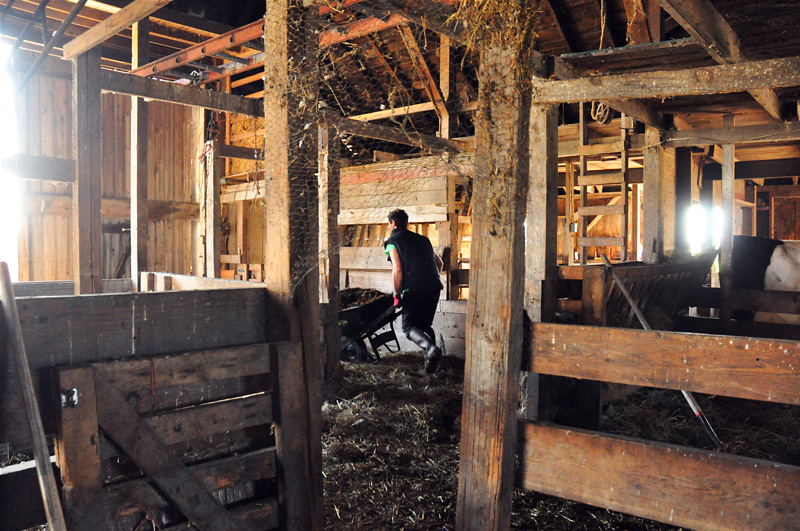 man cleaning barn