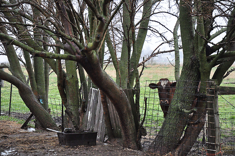 Where do you&nbsp;write?