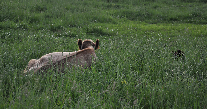 Alex and Txiki - Dexter 