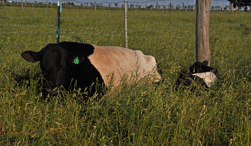 Lady Astor and bobby T