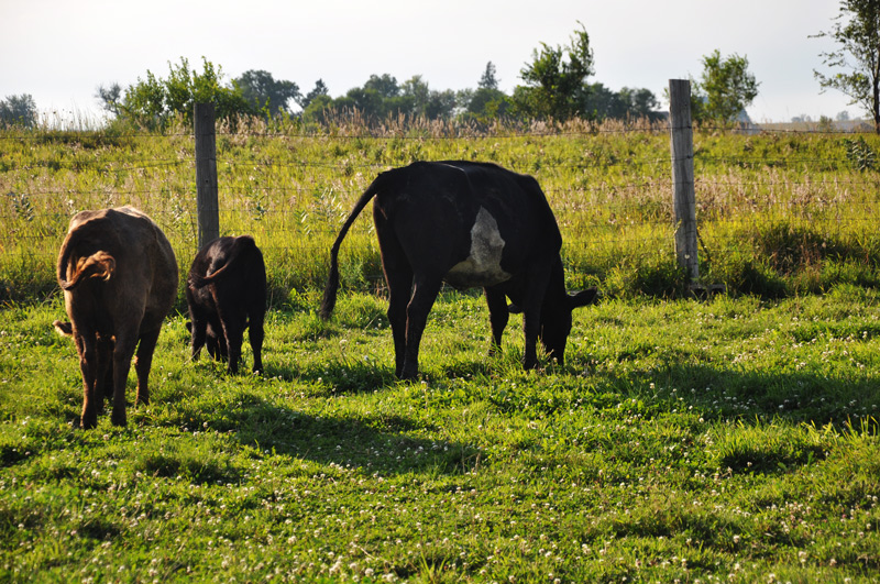 Naomi with Alex and Txiki