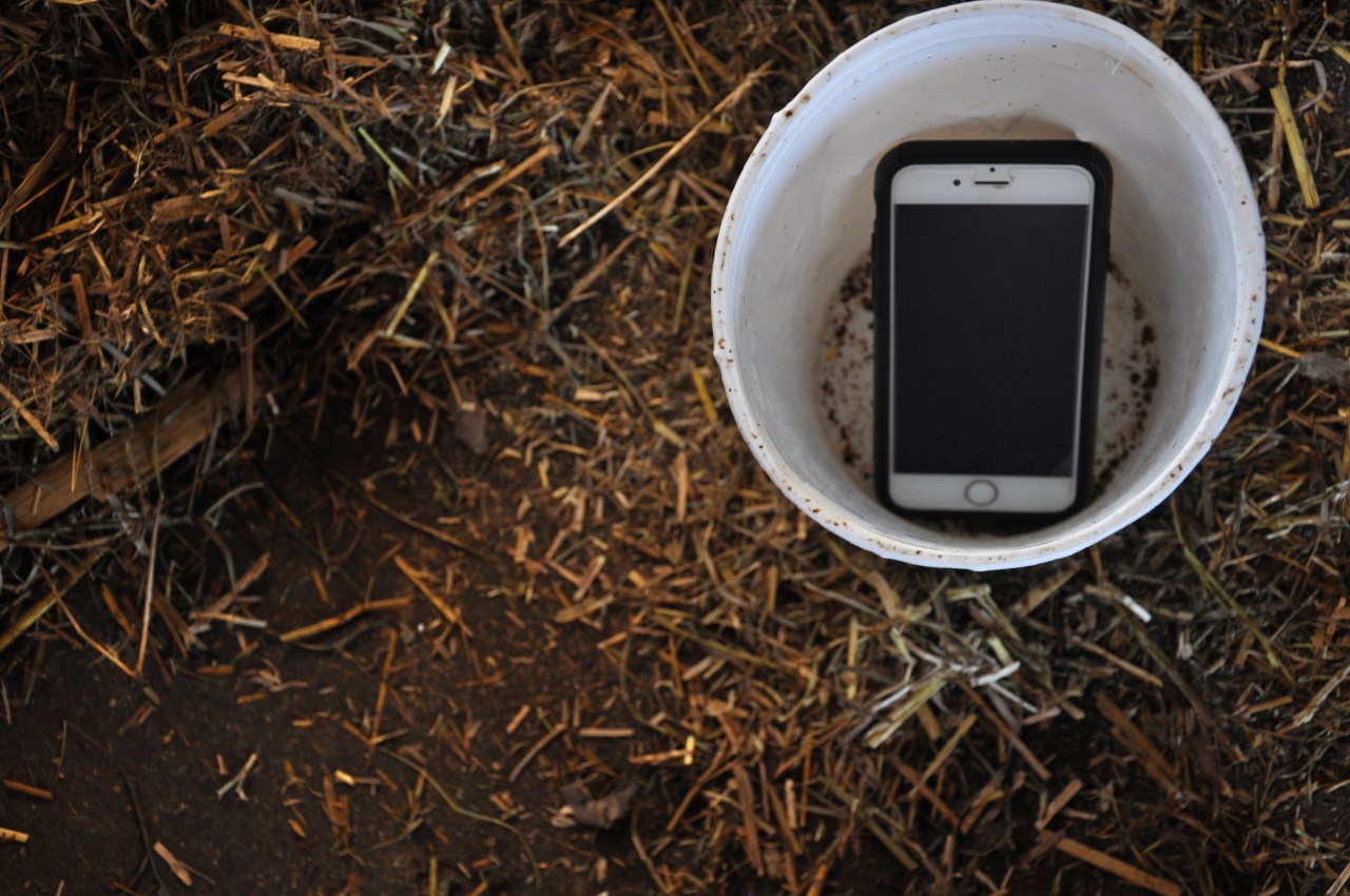 phone in a pot