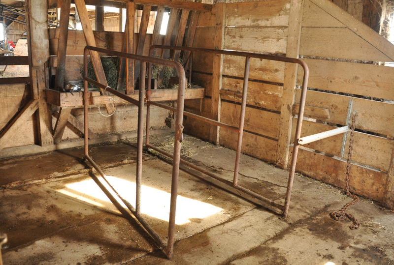 milking room