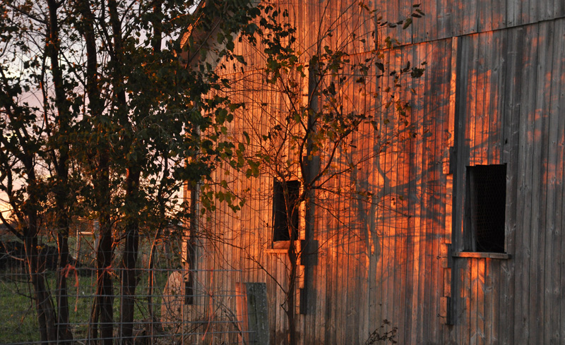 old barn