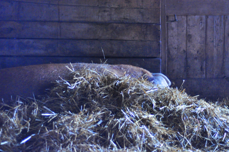 Waste not those&nbsp;feet