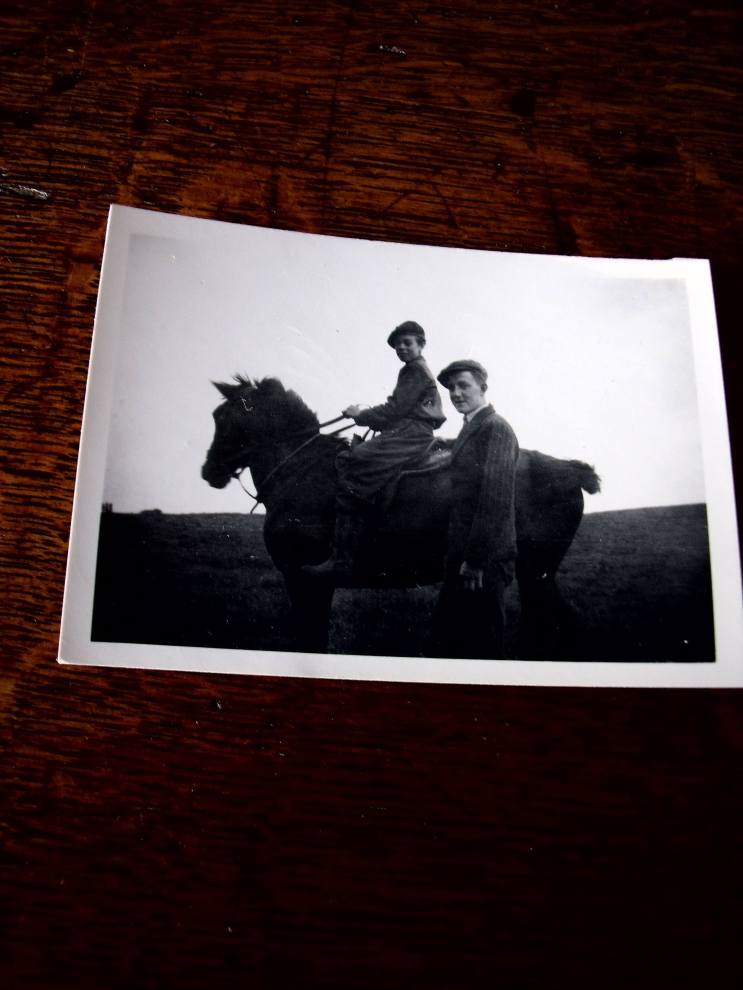 buttons-with-some-very-young-shepherds-comp