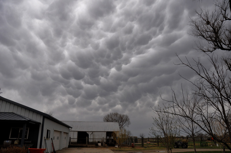 Eat Not Your&nbsp;Bed