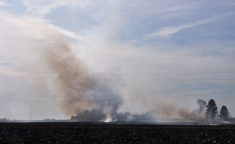 See this big digger?