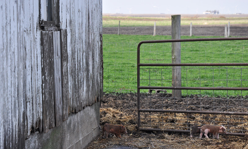 Up and At&nbsp;‘Em