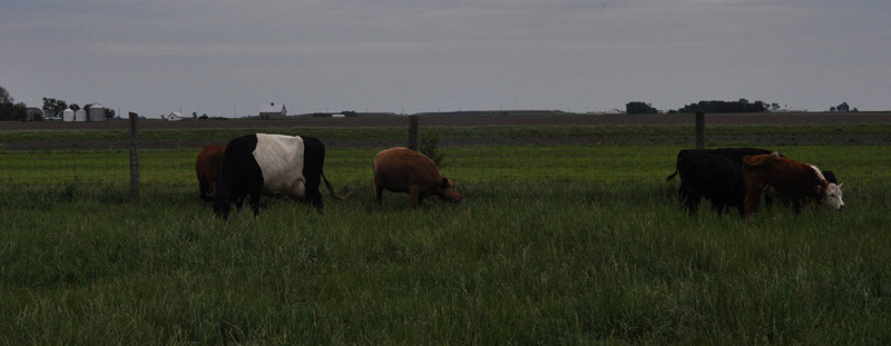 The Kitchens Garden&nbsp;has…