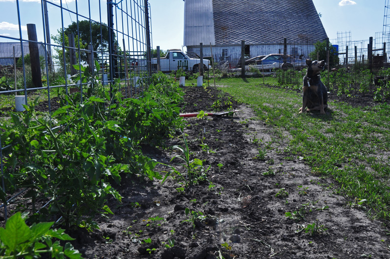 The wide shot, work in&nbsp;progress