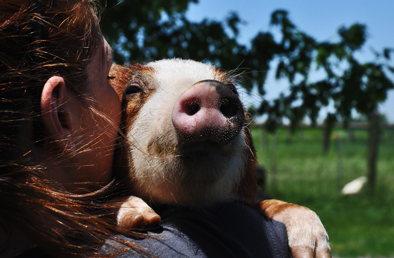 Herbie came to&nbsp;visit