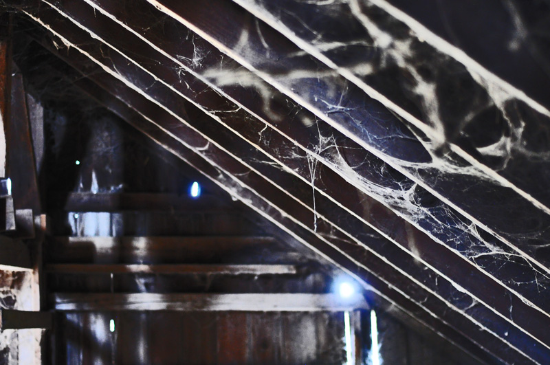 Pigs do not&nbsp;bend