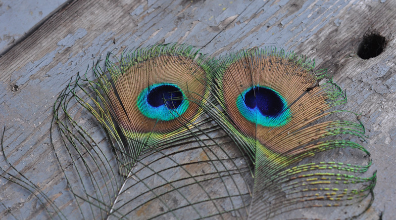 My friend said to me&nbsp;…