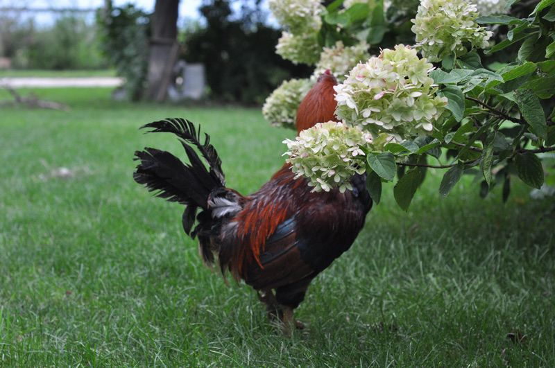 Full of Bliss&nbsp;Quiet